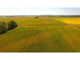 Property photo 12 - MAJOR ILLINOIS LAND AUCTION - 752.54+/- ACRES OFFERED IN 9 TRACTS IN KANKAKEE COUNTY, ILLINOIS